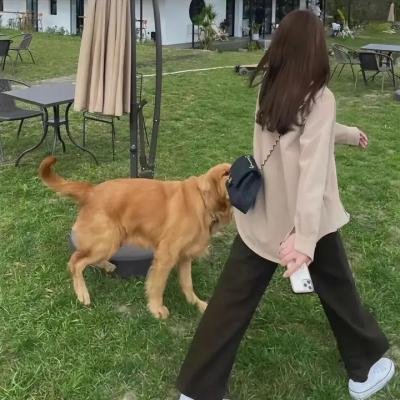 嘻哈僧侣
